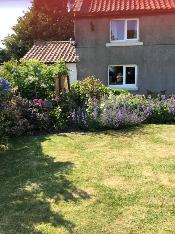 Bed and Breakfast Oscar Park Farm York Exterior foto